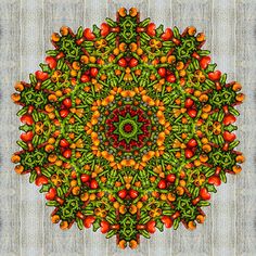 an orange and green circular design on a striped background with red berries in the center