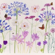 a painting of flowers and butterflies on a white background with blue, pink, purple, and green stems