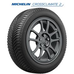 michel cross climate 2 tire on a white background