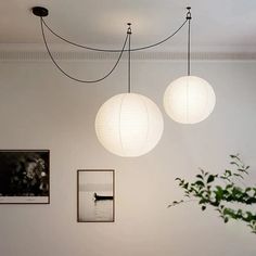 three white lamps hanging from the ceiling in a room with pictures on the wall and plants