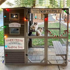 a small chicken coop decorated with christmas lights and signs on the sides, along with a cat sitting in it