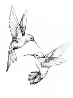 two birds flying next to each other in the air