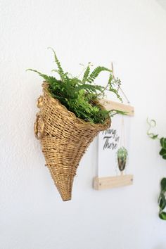 a wall hanging planter with plants in it