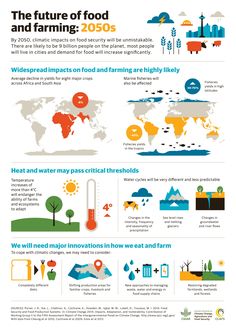 the future of food and farming info sheet