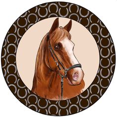 a brown horse is shown in a circle with circles around it and on the side