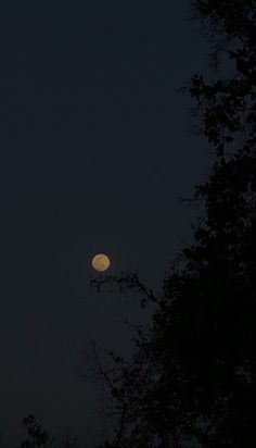 the moon is seen through some trees in the night sky, with only one light visible