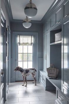 a dog standing in the middle of a room with blue walls and white tile flooring