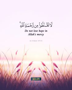 an islamic quote with the sun in the background and grass blowing in the foreground