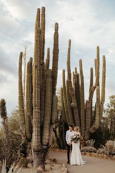 a bride and groom standing in front of large cactus