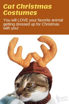 a cat wearing a reindeer hat with antlers on it's head and text that reads, cat christmas costumes you will love your favorite animal getting dressed up for christmas with you