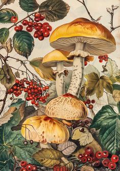 a painting of mushrooms and berries on the ground