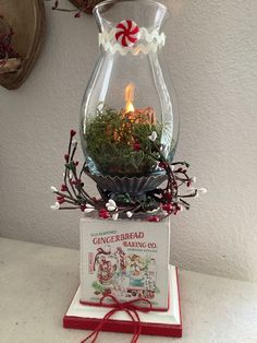 a glass vase filled with plants on top of a table