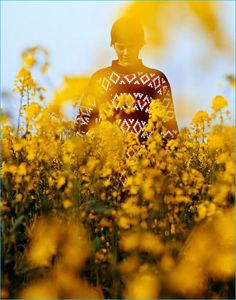 a person standing in a field of yellow flowers with the sun shining behind them and their face obscured by his sweater