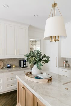 a white kitchen with marble counter tops and wooden cabinetry, along with a large potted plant on the island