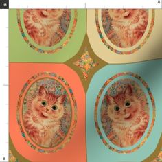 an image of a cat in the center of four circles on a multicolored background