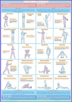 an exercise poster with instructions for stretching