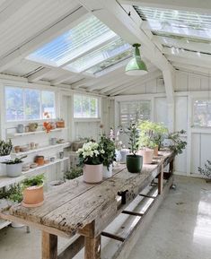 a room filled with lots of plants and potted plants on top of wooden tables