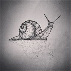 a black and white drawing of a snail