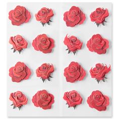 red paper roses arranged in rows on a white surface