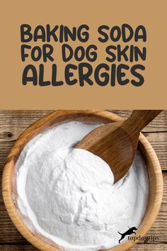 Discover 6 Woof-tastic Home Remedies for Your Dog's Skin Allergies! Dog Itchy Skin Remedy, Foods For Energy, Dog Allergies Remedies, Best Foods For Energy, Dog Itching Remedies, Itchy Dog Skin, Dog Skin Allergies, Energy Boosting Foods, Diy Oatmeal