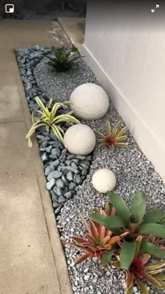 some plants and rocks are on the side of a building with white balls in it