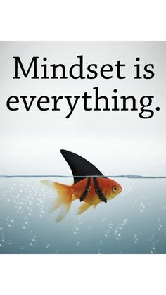 a goldfish swimming in the water with an advertise for mindset is everything