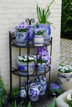 several pots with flowers are stacked on a rack