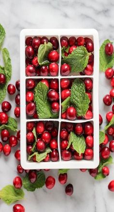 cranberries and mint leaves in a square white container