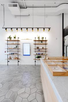 the inside of a store with shelves and plants