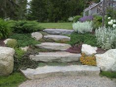 a stone path in the middle of a garden