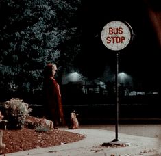 a bus stop sign sitting on the side of a road next to a park at night