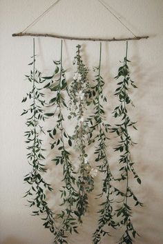 some green plants hanging from a wall