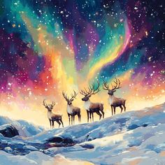 three reindeers are standing in the snow under an aurora borel sky with stars