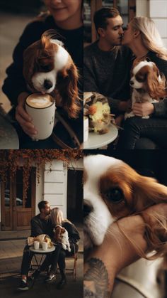 a man and woman kissing while holding two dogs