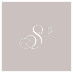 the letter s is shown in white on a gray background with an elegant swirl design