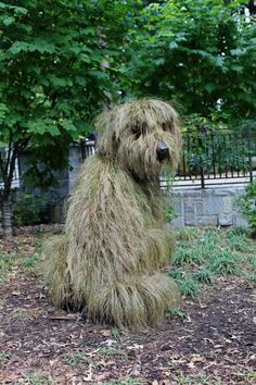 a shaggy dog sitting on the ground in front of some trees and bushes with its mouth open