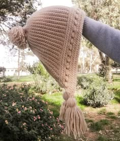 a person wearing a knitted hat with tassels hanging from it's side