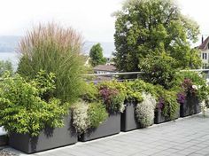 a large planter filled with lots of plants on top of a sidewalk