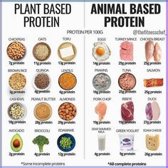 Plant-Based Protein vs. Animal-Based Protein: Which is Best for You?  Description: Confused about whether to choose plant-based or animal-based protein? Learn the key differences, benefits, and nutritional values of both protein sources. Whether you're looking for muscle-building power, heart health benefits, or sustainable options, discover which protein suits your lifestyle and dietary needs.  Hashtags: #PlantBasedProtein #AnimalBasedProtein #ProteinComparison #HealthyEating #PlantPower #MuscleBuilding #ProteinSources #DietaryChoices #NutritionTips #HealthyLifestyle #SustainableEating #ProteinForHealth #NutritionalBenefits Vitamins That Boost Metabolism, How To Heal Metabolism, How To Boost Metabolism, How To Boost Your Metabolism, 1000 Calorie Meal, 1000 Calorie Meal Plan, Benefits Of Protein, Metabolism Reset, 1000 Calorie