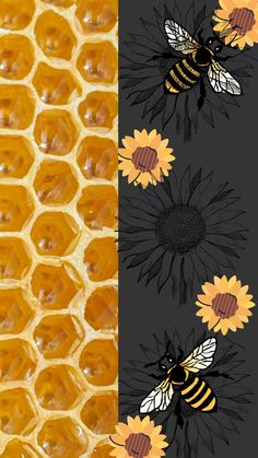 bees on honeycombs with sunflowers in the background