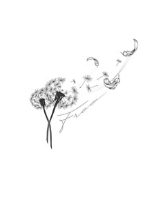 a drawing of a dandelion blowing in the wind