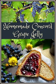 homemade concord grape jelly on bread with grapes and sunflowers in the background, text reads homemade concord grape jelly