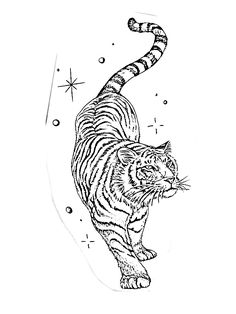 a tiger is running across the sky with stars in it's back legs and tail