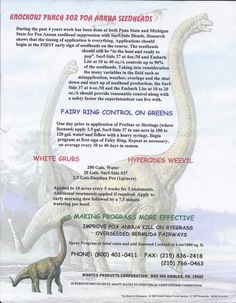 an advertisement for a dinosaur exhibit with information about the dinosaurs and how to use it