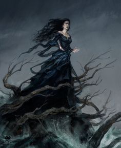 a woman in a black dress standing on top of a tree covered with water and branches