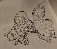 a drawing of a goldfish with bubbles coming out of it's back end