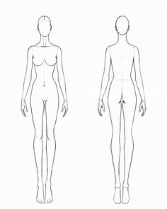 a drawing of a woman's body and the shape of her torso, from front to back