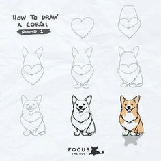 how to draw a corgi step by step