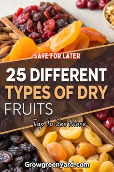 different types of dry fruits with text overlay that says 25 different types of dry fruits