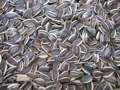 a pile of sunflower seeds sitting on top of each other